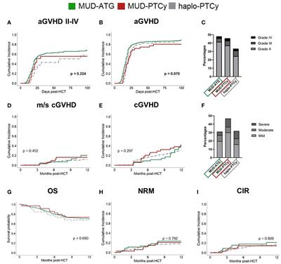 Time series clustering of T cell subsets dissects heterogeneity in immune reconstitution and clinical outcomes among MUD-HCT patients receiving ATG or PTCy